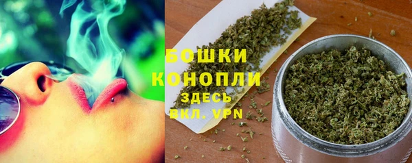 стаф Белокуриха