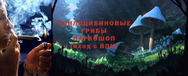 стаф Белокуриха