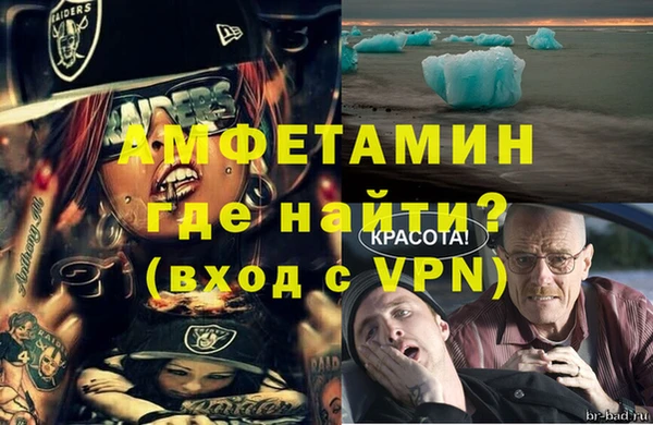стаф Белокуриха