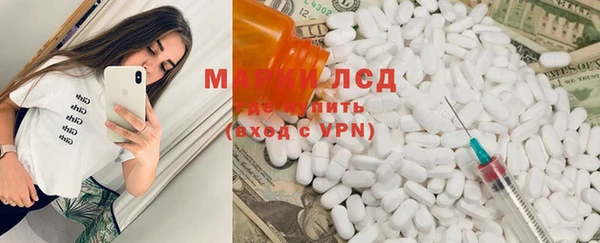 стаф Белокуриха